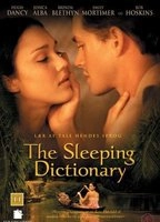 The Sleeping Dictionary